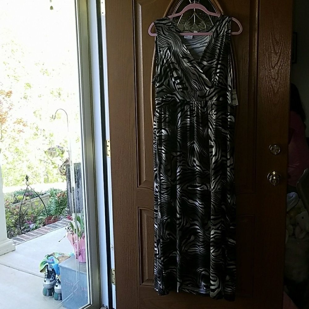 Kim Rogers animal print dress Sz 1X NWT